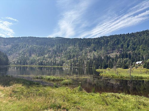 Kleiner Arbersee mit den schwimmenden Inseln
